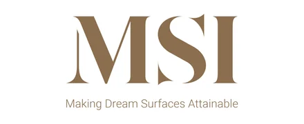 MSI logo