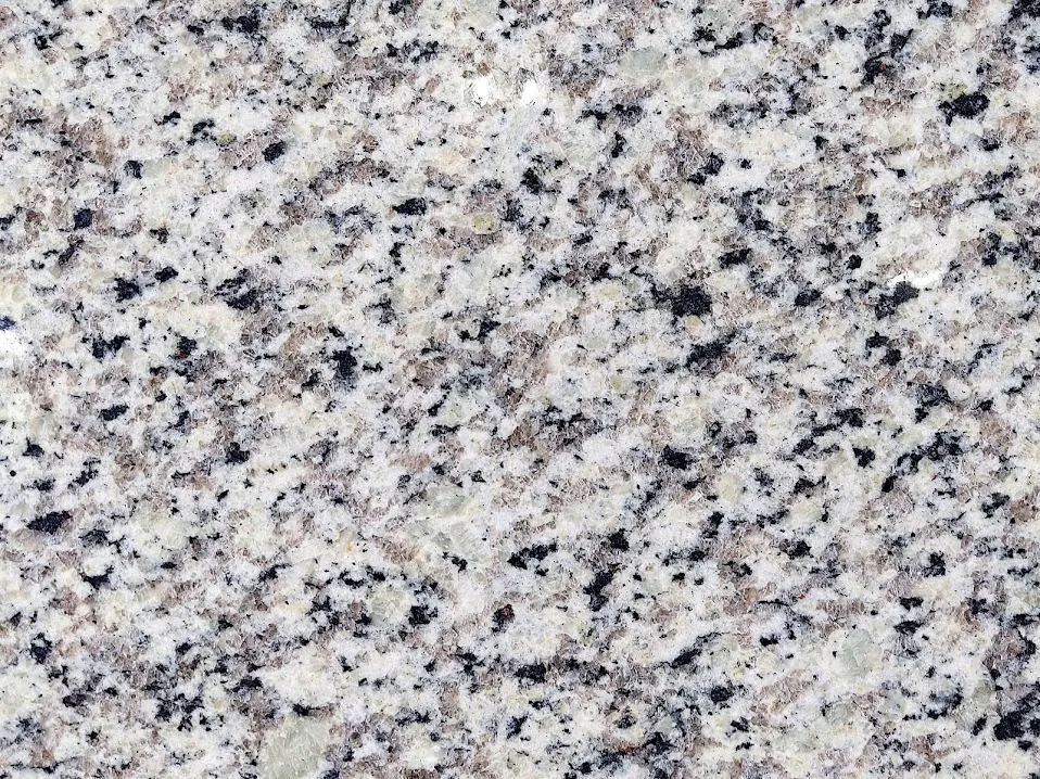 Luna Pearl V 3cm Polished slab at Easy Stones Seattle